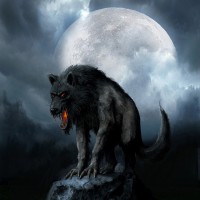 /album/galeria-de-fotos/lycan-9-jpg1/